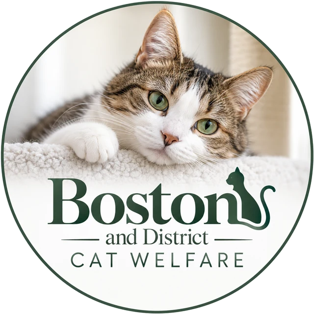 Boston and District Cat Welfare logo
